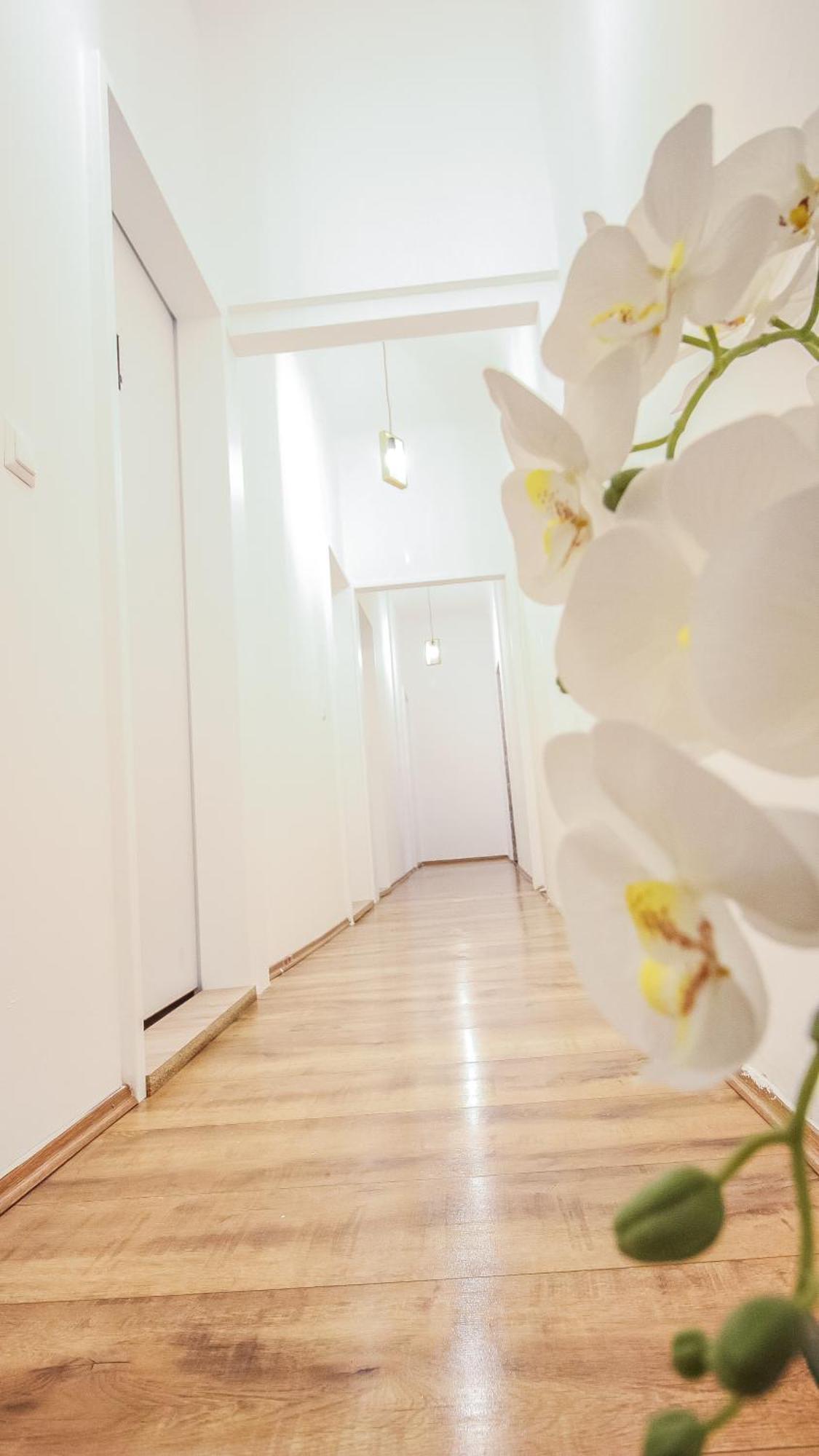 Comfortable Accommodations In The Alterlaa Area Lv6 ウィーン エクステリア 写真